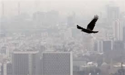 هوای آلوده تهران با ورق زدن تاریخ پاک نمی‌شود