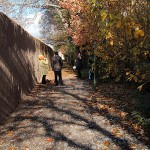گزارش تصویری از پاییز در باغ شاهزاده