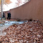 گزارش تصویری از پاییز در باغ شاهزاده