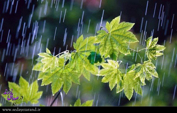 صدای پای باران در کرمان