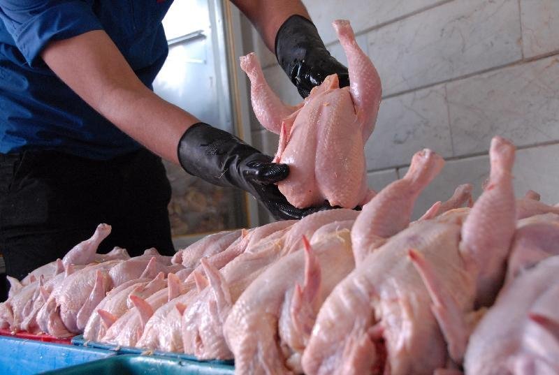 عرضه نامحدود گوشت مرغ منجمد به قیمت ۶۰۵۰۰ ریال به مصرف کنندگان