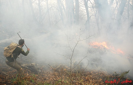 مهار شدن آتش سوزی در جنگل های میمند شهربابک