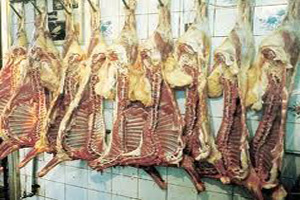 قاچاق لاشه غیربهداشتی گوشت در زرند
