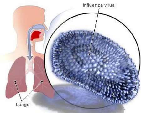 ماسک از آنفلوآنزا جلوگیری نمی‌کند/ ریزقطره‌های آب دهان و بینی عامل اصلی انتقال ویروس