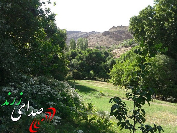 تصاویری از طبیعت زیبای روستای درِآب زرند (+درباره روستا)