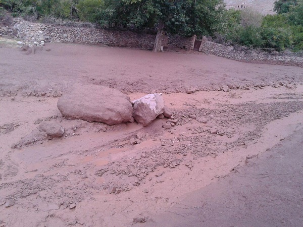 خسارت ۲۱ میلیارد ریالی سیل در شهرستان زرند/ بیشترین خسارات در روستای داهوئیه