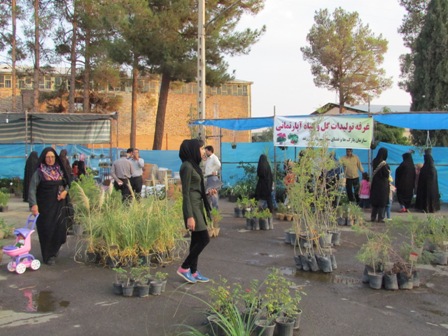 نخستین نمایشگاه گل و گیاهان زینتی و آپارتمانی در زرند افتتاح شد