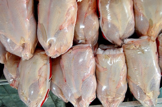۴۵۰ تن مرغ منجمد در شمال استان کرمان توزیع شد