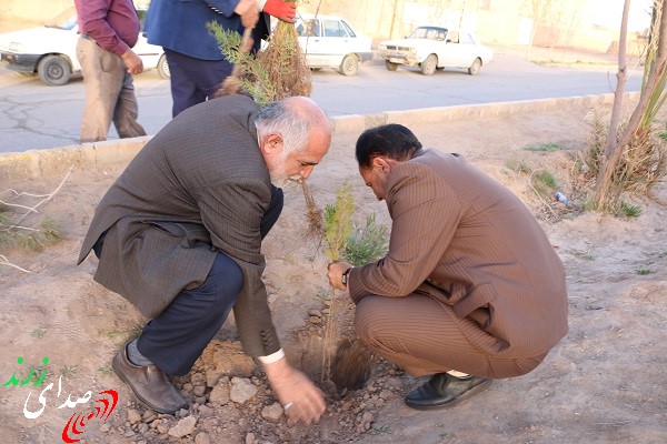 کاشت درخت در منطقه ریحان زرند به یاد شهدا(+تصاویر)