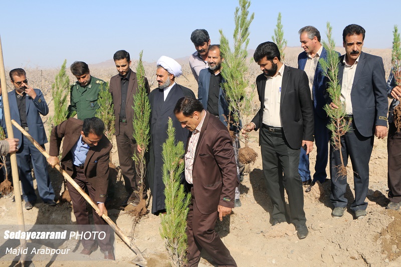 تصاویر / درختکاری در بلوار ورودی یزدانشهر