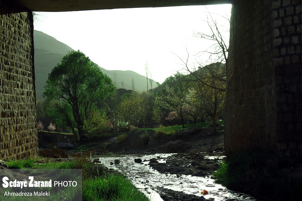 عکس/ جلوه های بی نظیر بهار در روستاهای حتکن و سکوکان زرند