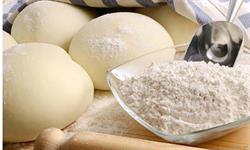 نانوایان زرند با آرد بی‌کیفیت برای تولید نان باکیفیت تلاش می‌کنند
