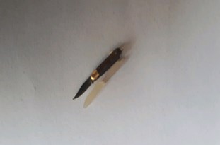 ساخت کوچکترین چاقوی جهان توسط هنرمند سیرجانی