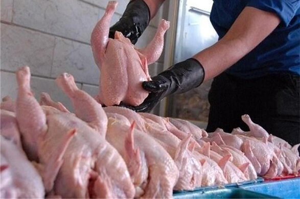 تعیین قیمت ۱۴ هزار و ۴۰۰ تومانی هر کیلو مرغ برای کرمانی‌ها