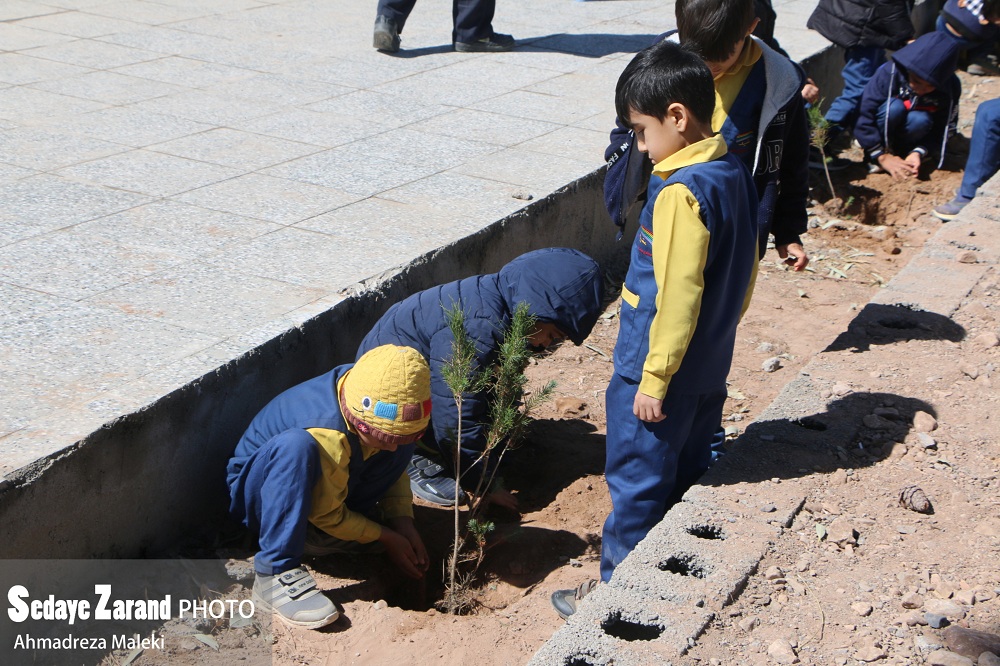 عکس/ مراسم روز درختکاری در زرند به روایت تصویر