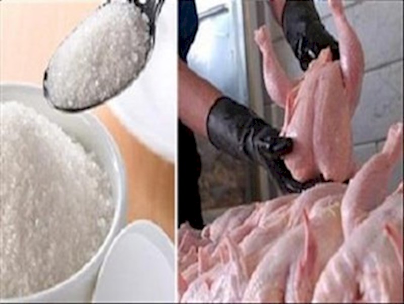 فروش شکر با قیمت بیش از ۳۵۰۰ تومان در استان تخلف است| قیمت مرغ تا هفته آینده به کانال ۱۳ هزار تومان وارد می‌شود