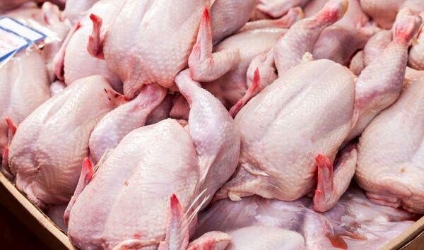 ۹ تن مرغ احتکارشده از یک کشتارگاه در زرند کشف شد