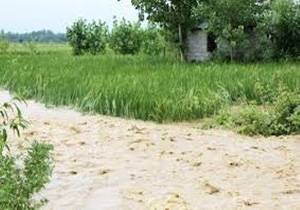خسارت ۴۷۰ میلیارد ریالی سیل به کشاورز‌ی زرند