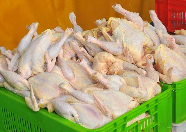 هشدار استانداری نسبت به بالا بودن قیمت مرغ در کرمان