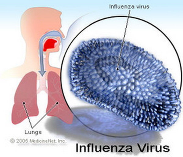 مرگ ۴ بیمار مبتلا به آنفلوآنزای نوع A در رفسنجان