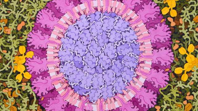 کرمان آمادگی ۱۰۰ درصدی برای مقابله با کرونا ویروس را دارد