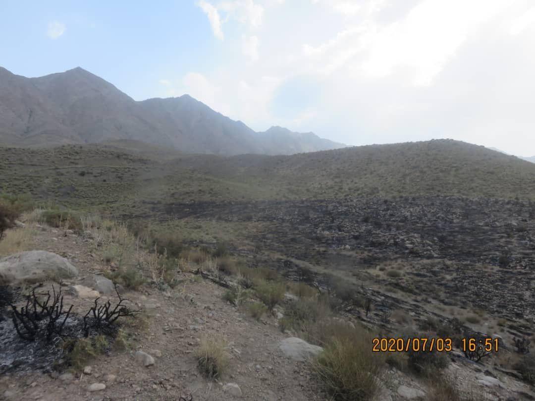 آتش ۴ هکتار از پوشش گیاهی در روستای بابگهر زرند را سوخت