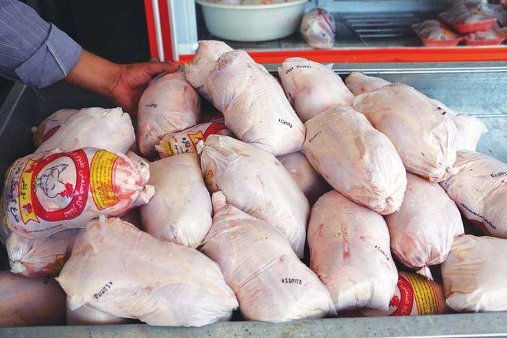 قیمت مرغ در کرمان کارشناسی‌ نیست / منتظر شوک جدید در بازار مرغ باشید