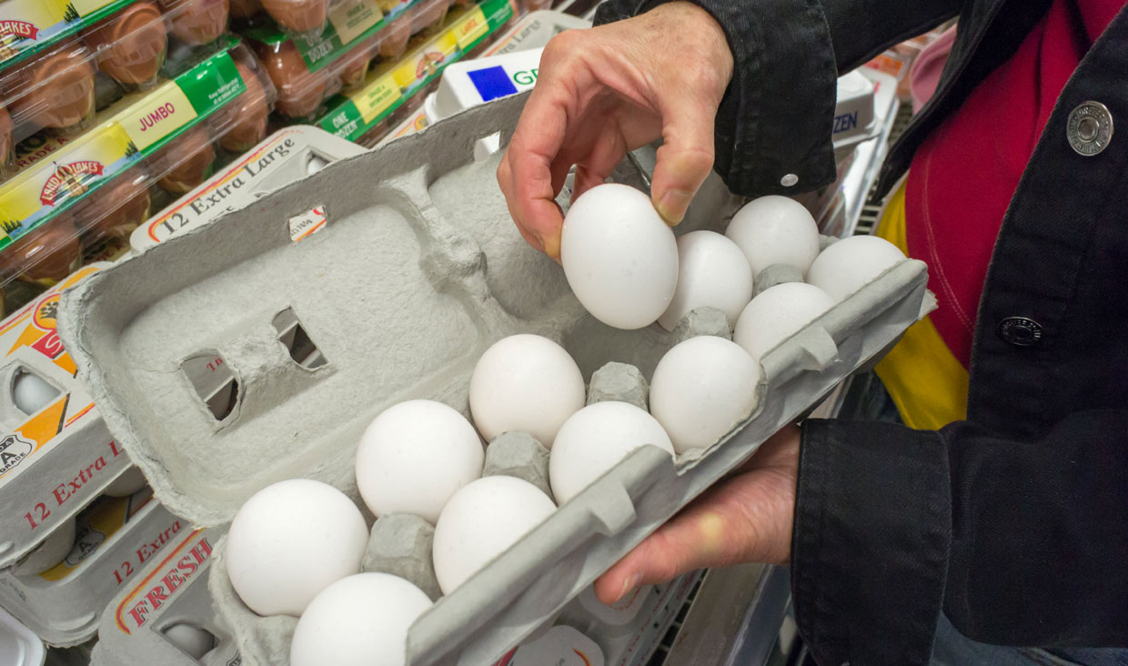 قیمت تخم مرغ بسته بندی هفته آینده اعلام می شود