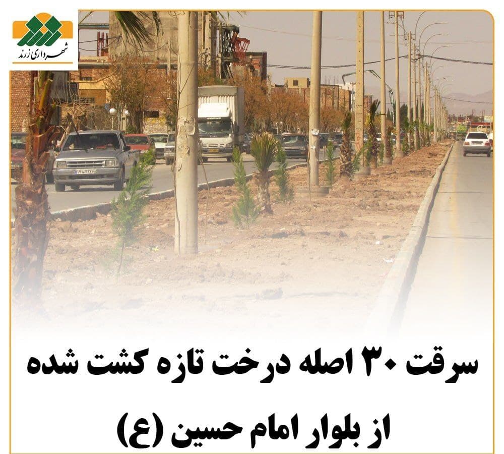 سرقت ۳۰ اصله درخت تازه کشت شده از بلوار امام حسین (ع) زرند/ توزیع نهال رایگان در بین زرندی‌ها 