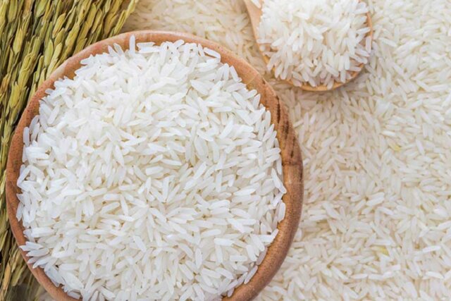 سقوط قیمت برنج آغاز شد