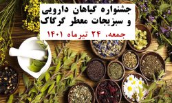 جشنواره های زرند، رویدادهای مهم گردشگری زرند در سطح استان