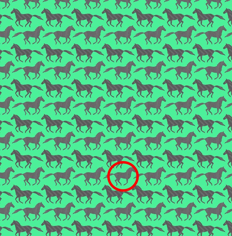 در عرض 15 ثانیه اسب متفاوت را در تصویر پیدا کنید0