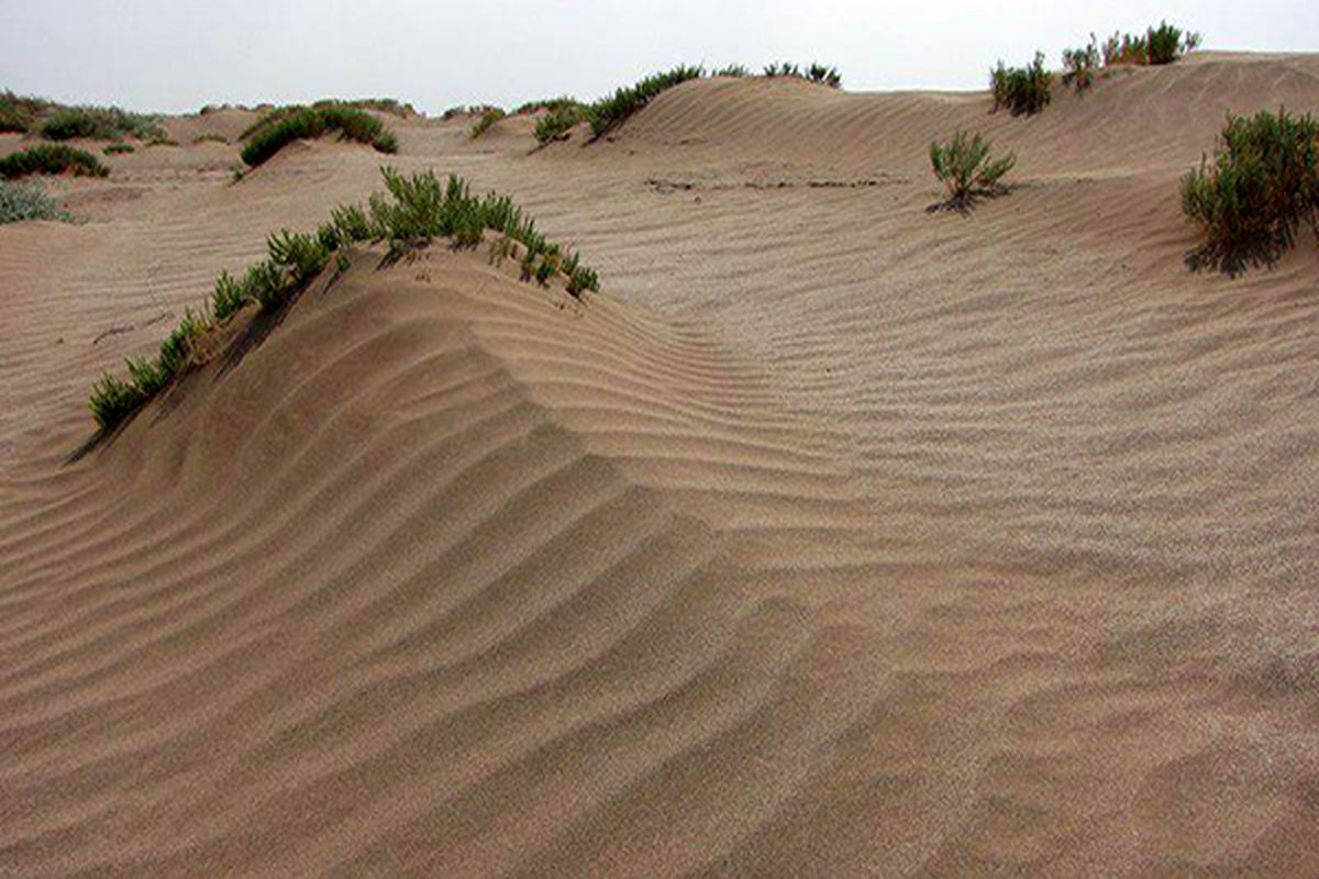 ۱۳ شهرستان شمال استان در معرض بیابانی شدن / ۴.۵ میلیون هکتار مناطق بیابانی کرمان تحت‌تاثیر فرسایش بادی است