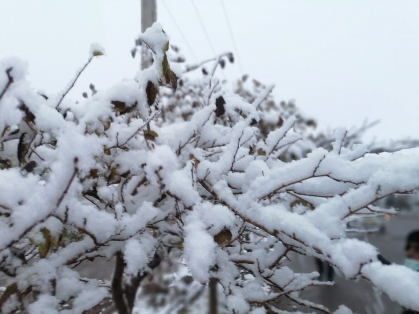 بارش نخستین برف پائیزی در شهرستان زرند