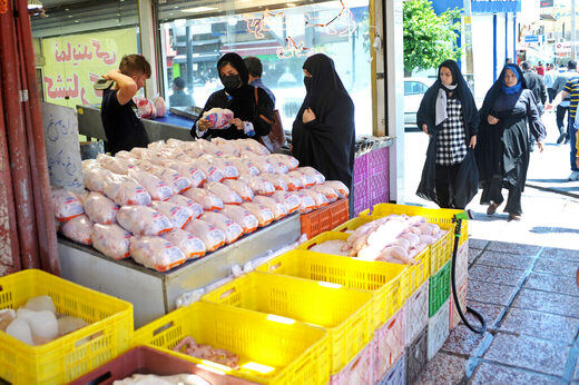 قیمت گوشت مرغ برای مصرف کنندگان ۷۳ هزار تعیین شد