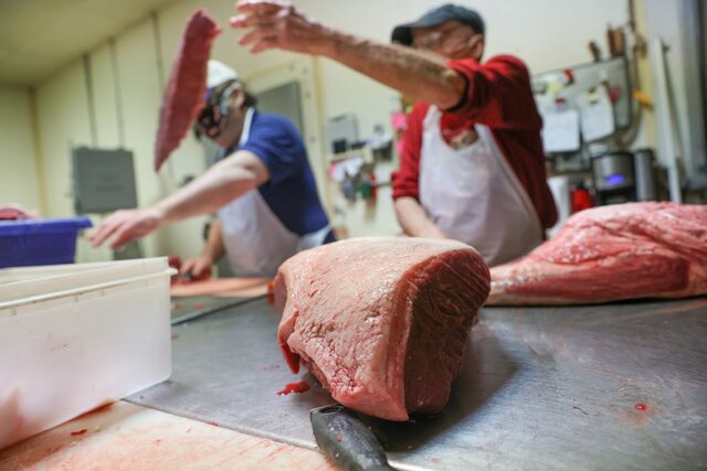 افزایش قیمت گوشت مهندسی شده بود
