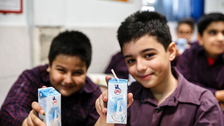 دانش آموزان ابتدایی کرمان ۲ روز در هفته شیر رایگان دریافت می کنند
